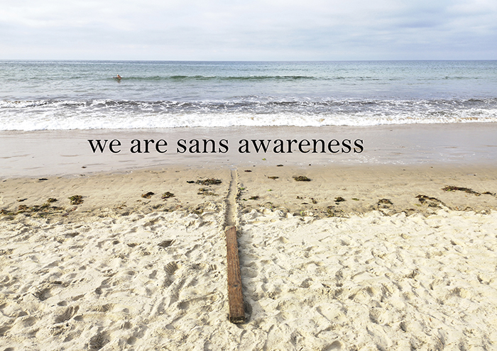 imagen 9. carlos de gredos 2